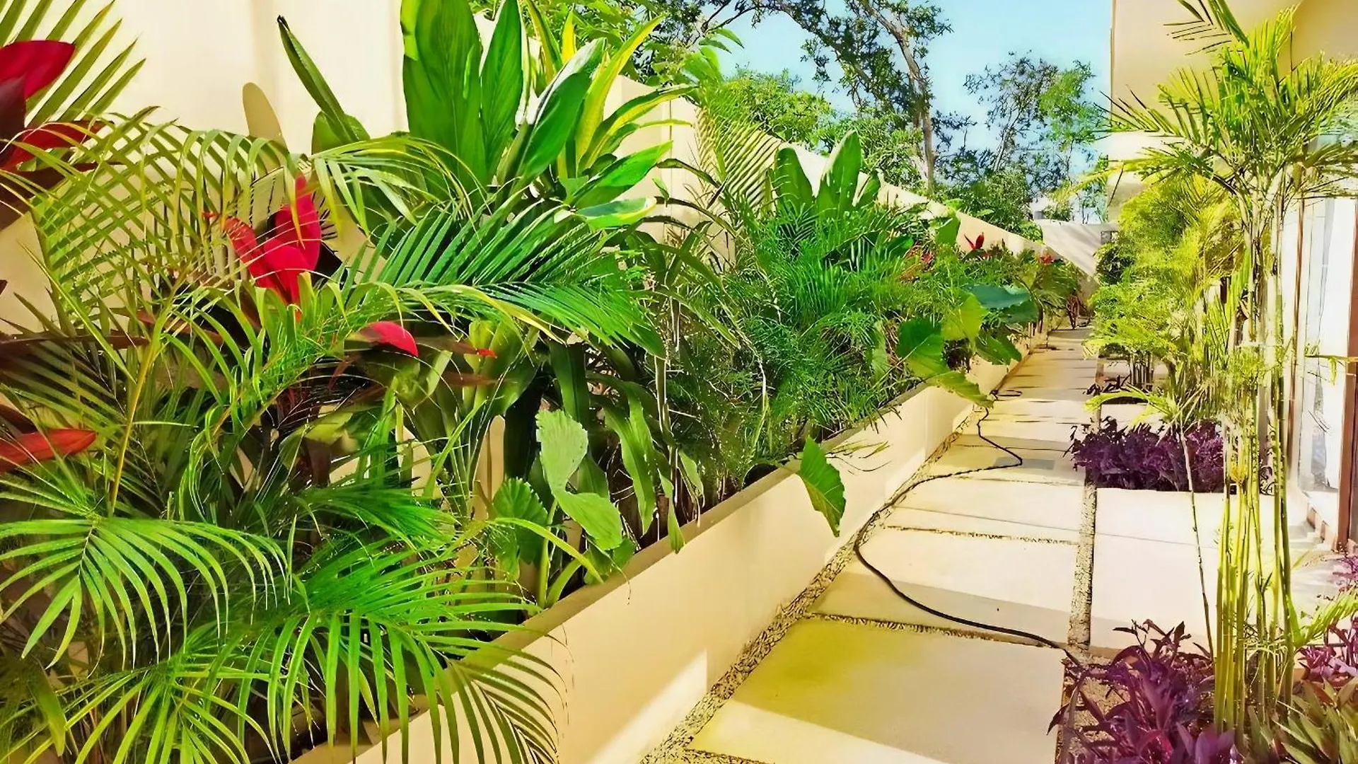 Lila E03 Blueluxuryk Apartment Tulum 0*,